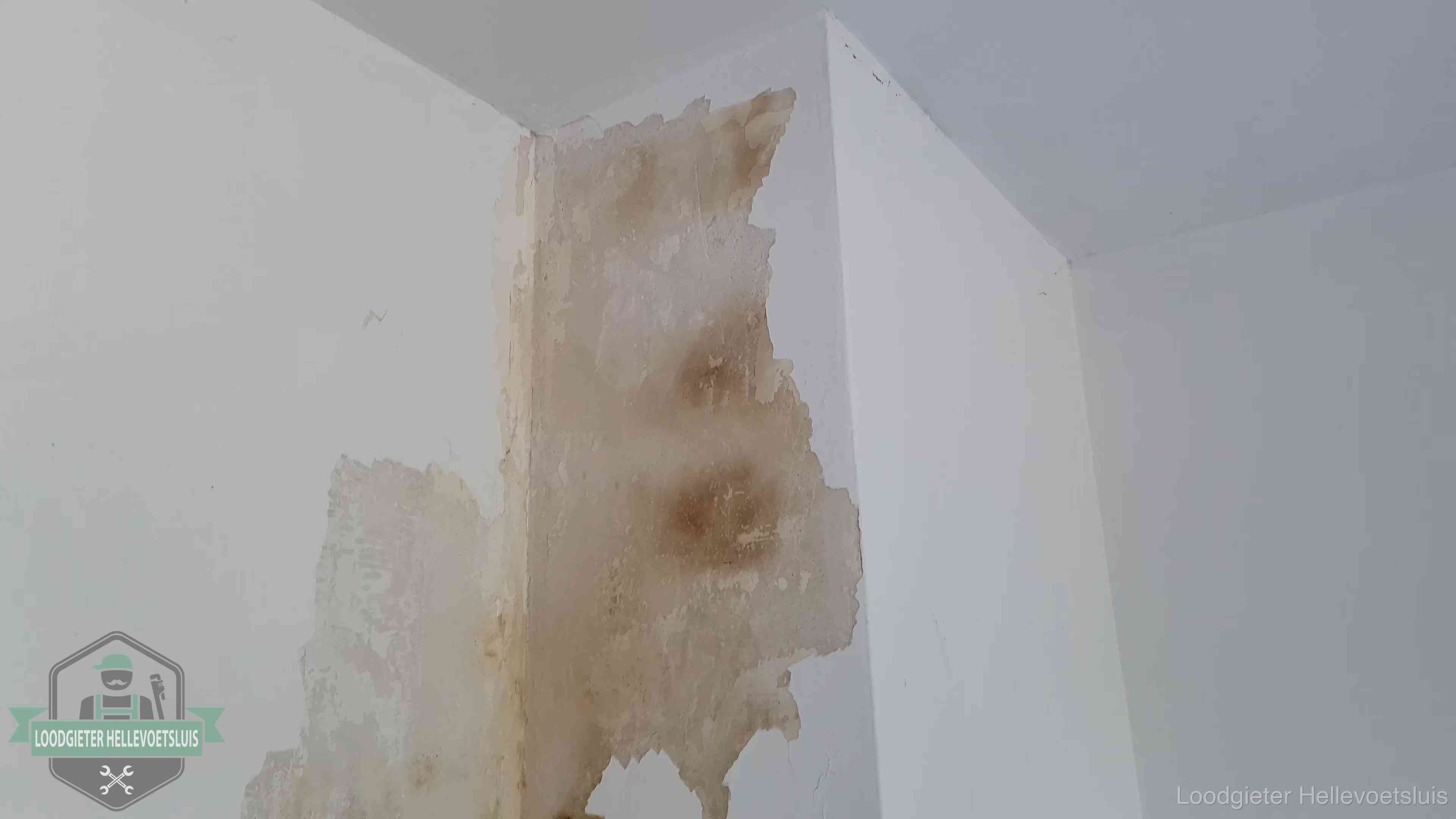 Daklekkage herkennen in Hellevoetsluis Bruine vochtkringen en afbladderend stucwerk op een binnenmuur in Hellevoetsluis, een eerste teken van daklekkage
