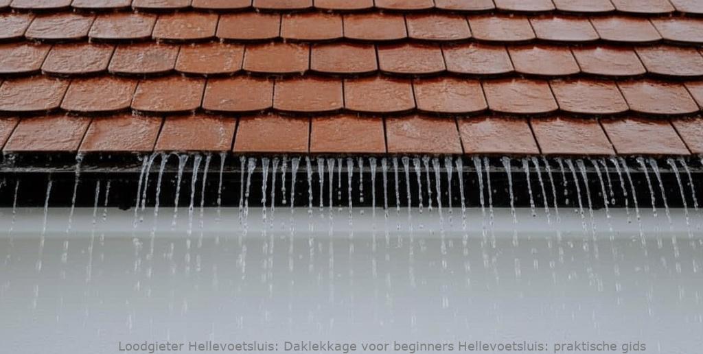 Daklekkage Voor Beginners Hellevoetsluis