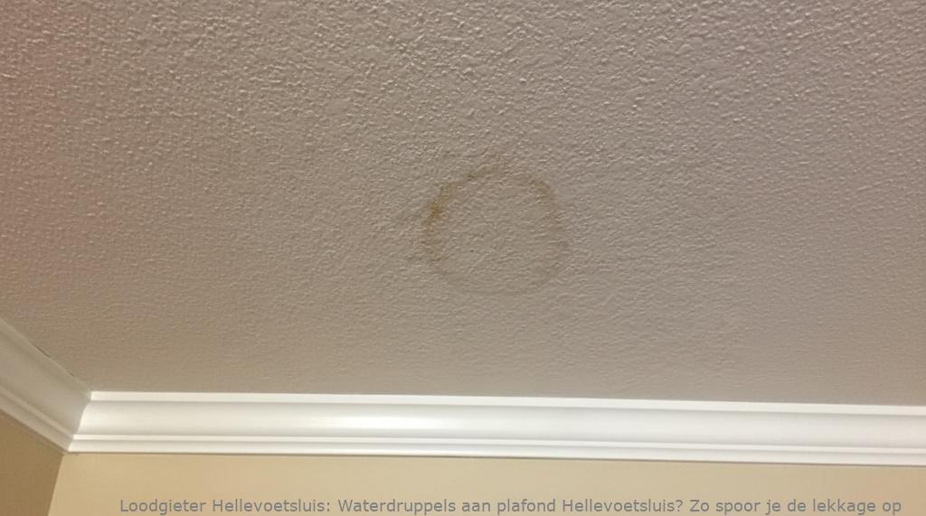Lekkage Plafond Hellevoetsluis