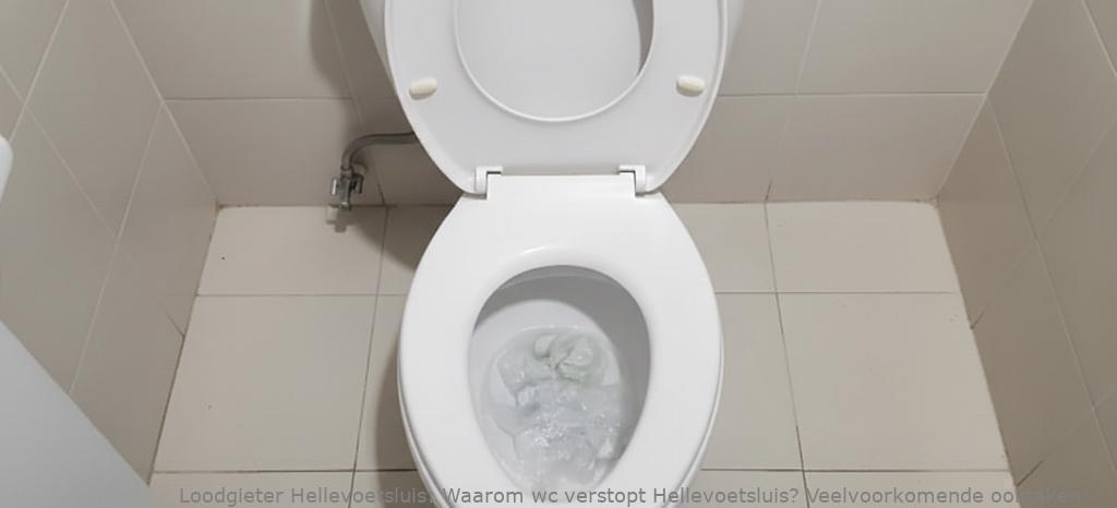 Waarom Wc Verstopt Hellevoetsluis