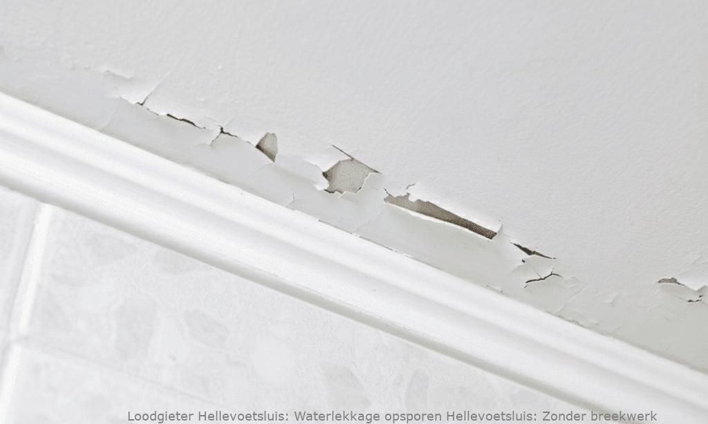 Waterlekkage Opsporen Hellevoetsluis